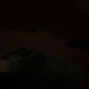 Meet your Posher, Shakal